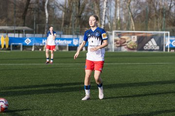 Bild 362 - wBJ Hamburger SV - Hertha BSC : Ergebnis: 2:1